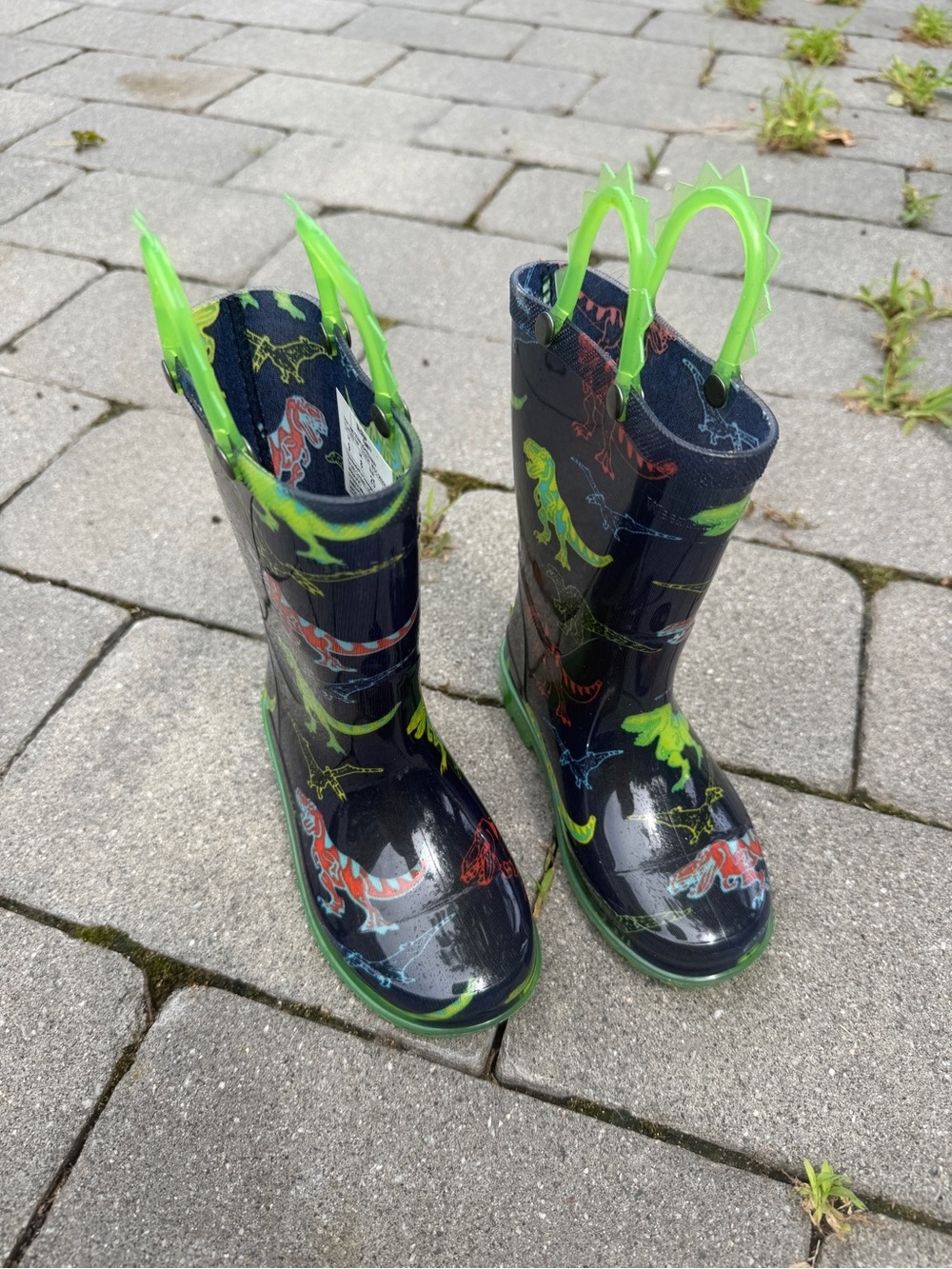 Dinosaur Navy Blue Green Boys Rainboots 9C